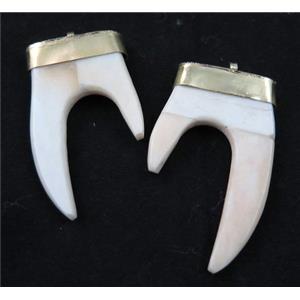 white bone tusk pendant, tiger tooth, approx 35-60mm [GMPDA7208]