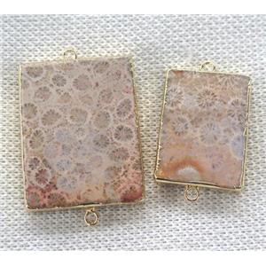 coral fossil connector, rectangle, gold plated, approx 20-40mm [GMPDA7368]