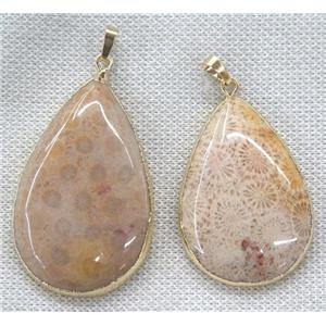 coral fossil pendant, teardrop, gold plated, approx 20-60mm [GMPDA7370]