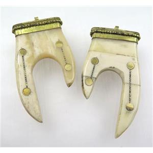 white cattle Bone tusk pendant, tiger tooth, approx 40-65mm [GMPDA8363]