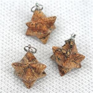 Picture Jasper pendant, star, approx 20mm dia [GMPDA9957]