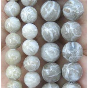 round coral fossil beads, Grade A, approx 12mm dia [GMRD1456-12MM]