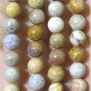 yellow Fossil Coral beads, grade B, round, approx 6mm dia [GMRD1469-6MM]