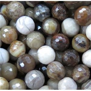 American Petrified Wood Agate beads, faceted round, approx 8mm dia [GMRD1571-8MM]