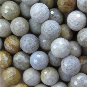 Indonesia Coral Fossil Beads, faceted round, approx 8mm dia [GMRD1573-8MM]