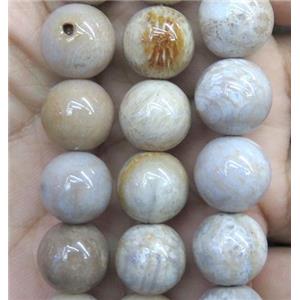 coral fossil jasper bead, round, approx 12mm dia [GMRD373-12MM]
