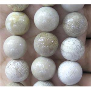 round coral fossil beads, approx 12mm dia [GMRD374]