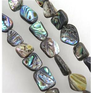 Paua Abalone shell chips bead, freeform, approx 8-12mm [SHEAB128]