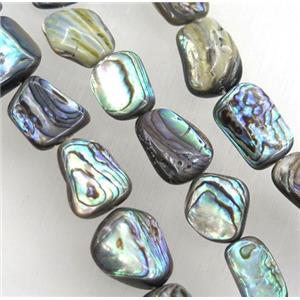 Paua Abalone shell bead, freeform, approx 15-20mm [SHEAB129]