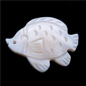 white shell fish pendant, approx 18-22mm [SHEPD29]