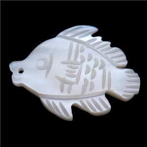 white shell fish pendant, approx 18-22mm [SHEPD30]