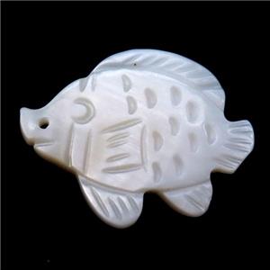 white shell fish pendant, approx 20-26mm [SHEPD31]