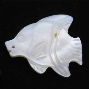 white shell fish pendant, approx 20-28mm [SHEPD33]