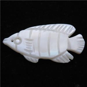 white shell fish pendant, approx 20-23mm [SHEPD34]