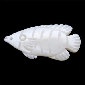 white shell fish pendant, approx 15-30mm [SHEPD35]