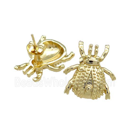 Copper Beetle Stud Earrings Gold Plated