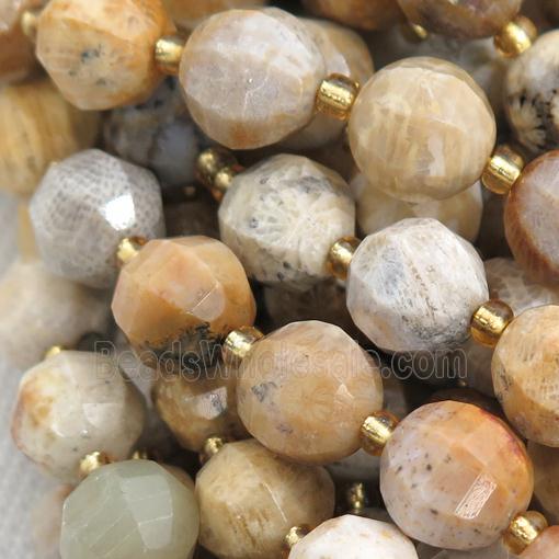 yellow Coral Fossil lantern beads