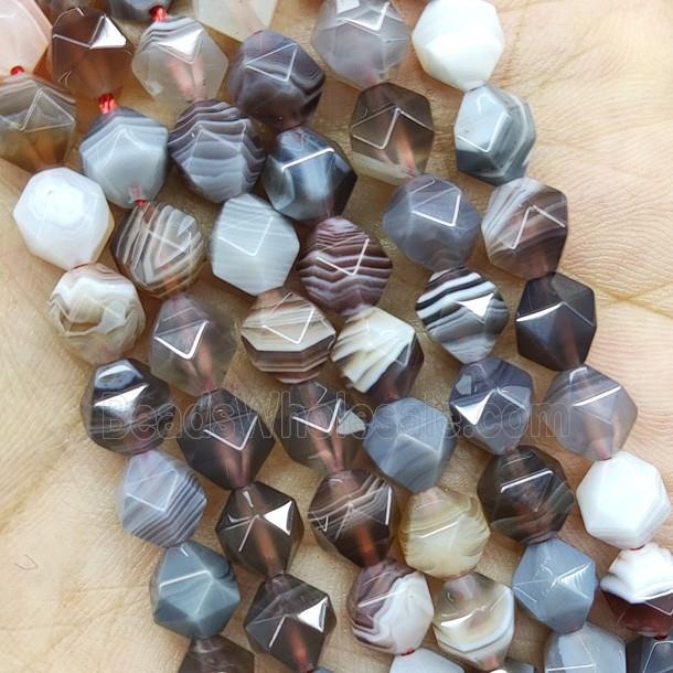 Botswana Agate Beads Starcut Round
