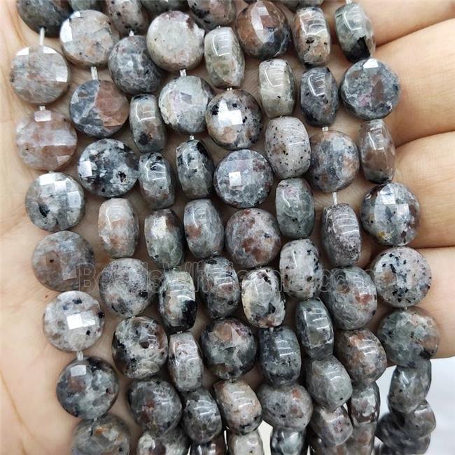Yooperlite Flame Jasper Beads Faceted Coin