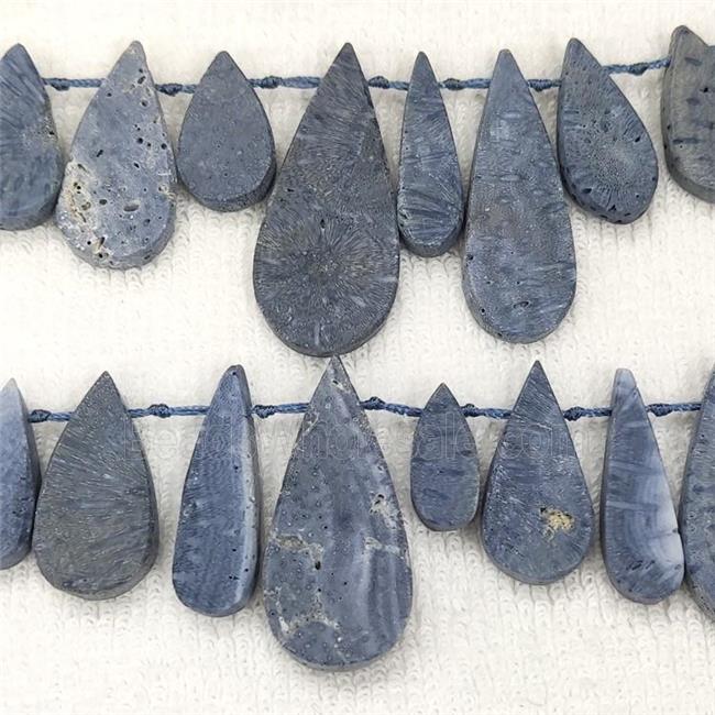 Blue Coral Fossil Teardrop Beads Topdrilled