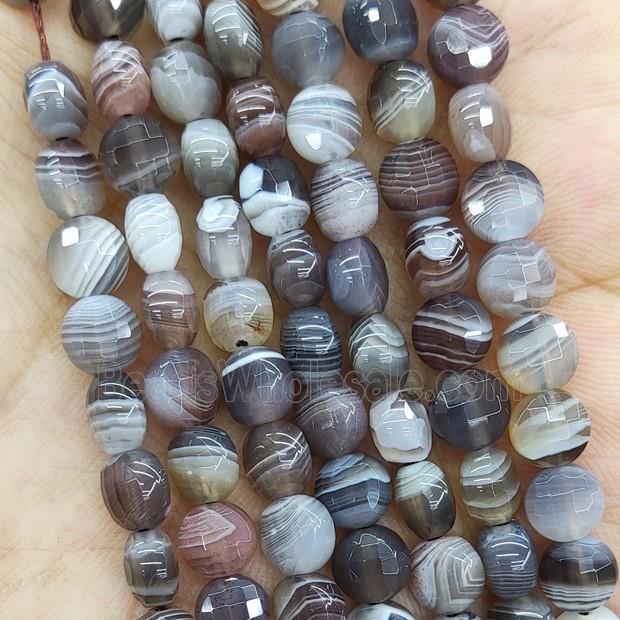 Natural Botswana Agate Beads Faceted Circle