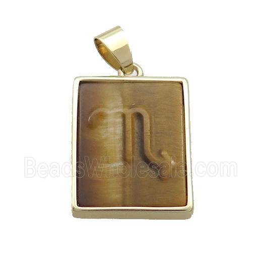 Natural Tiger Eye Stone Pendant Zodiac Scorpio Rectangle Gold Plated