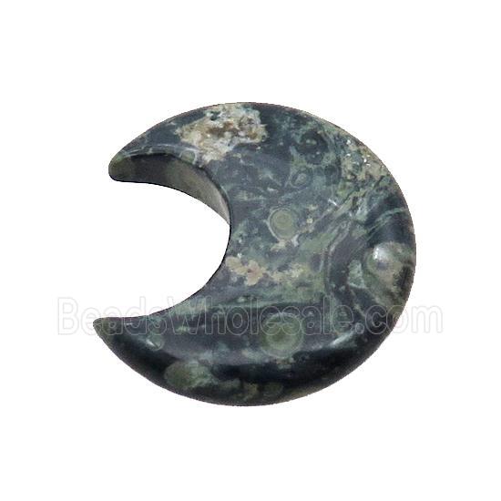 Kambaba Jasper Moon Pendant Undrilled