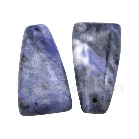 Natural Blue Sodalite Trapeziform Pendant