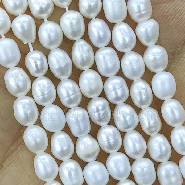 white Freshwater Pearl rice Beads