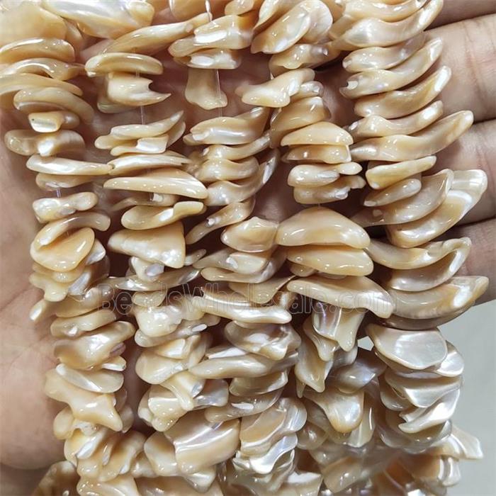 Coffee Sea Shell Beads Freeform Natural Color
