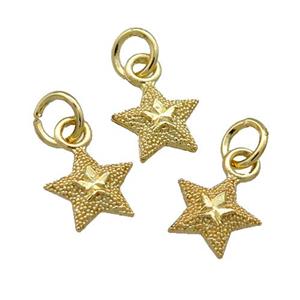 Alloy Star Pendant Unfade 18K Gold Plated, approx 8.5mm [FD12048]