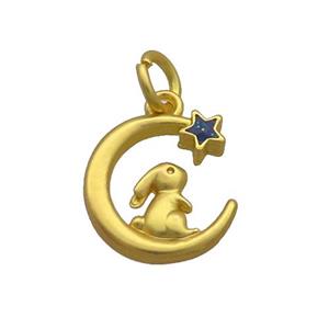Alloy Moon Rabbit Pendant Duck Gold, approx 13-15mm [FD12165]