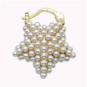 Copper Latchback Earrings Star Pave Pearlized Resin Gold Plated, approx 20mm [FN42958]