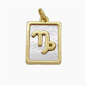 Copper Rectangle Pendant Pave Shell Zodiac Capricorn 18K Gold Plated, approx 12-15mm [FN48150]