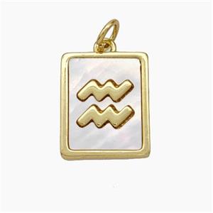 Copper Rectangle Pendant Pave Shell Zodiac Aquarius 18K Gold Plated, approx 12-15mm [FN48151]