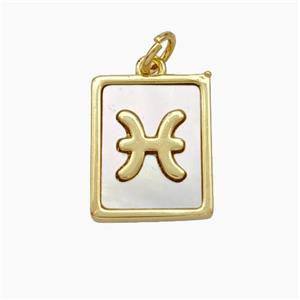 Copper Rectangle Pendant Pave Shell Zodiac Pisces 18K Gold Plated, approx 12-15mm [FN48152]