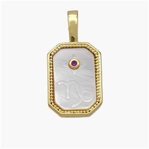 Copper Rectangle Pendant Pave Shell Zodiac Leo 18K Gold Plated, approx 10-20mm [FN48435]