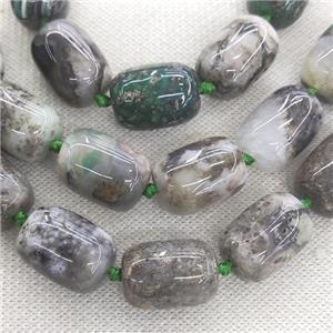 green Cherry Montana Agate barrel Beads, approx 14-20mm [GA2198]