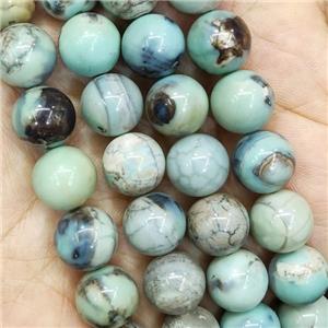 Turq Agate Beads Smooth Round, approx 12mm dia [GA2315-12MM]