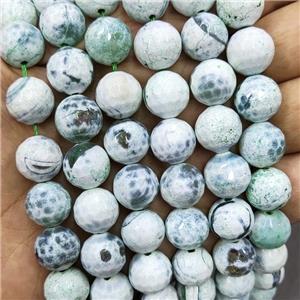 Green Fire Agate Beads Dye Faceted Round, approx 12mm dia [GA2952]