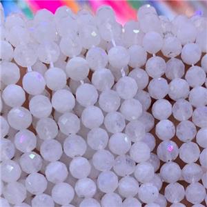 faceted round White MoonStone Beads, approx 5mm dia [GB11757]