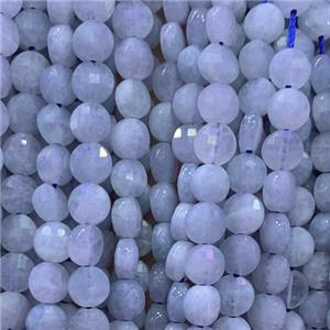 white MoonStone Beads, faceted circle, approx 6mm dia [GB11817]