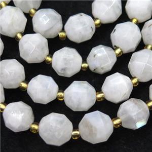 white Moonstone beads, faceted bullet, approx 10mm dia [GB12080]