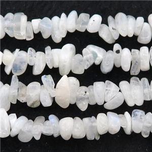 white MoonStone chip beads, approx 4-6mm, 32inch length [GB12522]
