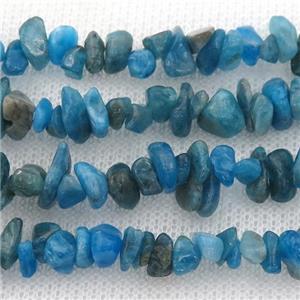 blue Apatite beads chip, approx 4-6mm, 32inch length [GB12524]