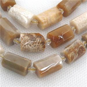 Coral Fossil beads, faceted tube, approx 12-18mm [GB12547]