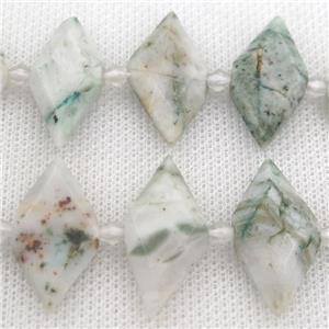 green Tree Agate rhombic beads, approx 13-28mm [GB12572]