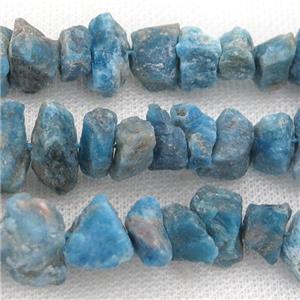 raw blue Apatite chip beads, freeform, approx 8-15mm [GB12625]