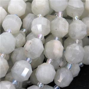white MoonStone bullet beads, approx 9-10mm [GB12819-10MM]