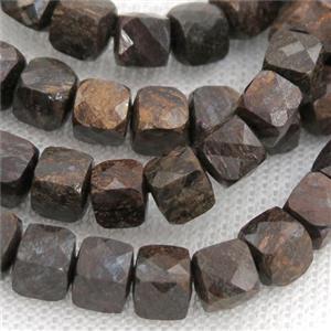 Bronzite Beads, faceted cube, approx 6mm [GB12875]